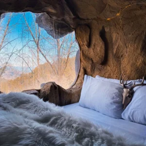 Arcadian Cave Room – Ultimate Adventure Experience